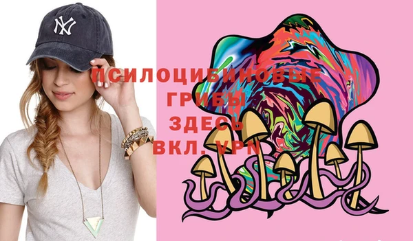 кокс Богданович