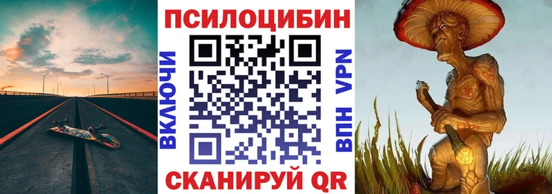 блэк спрут ССЫЛКА  Дмитров  Псилоцибиновые грибы Psilocybine cubensis 